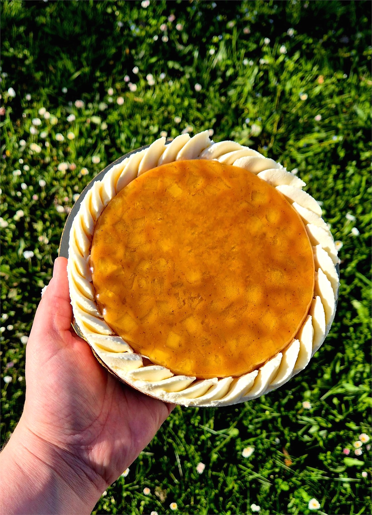 Tarte aux pommes fondantes avec bordure de crème